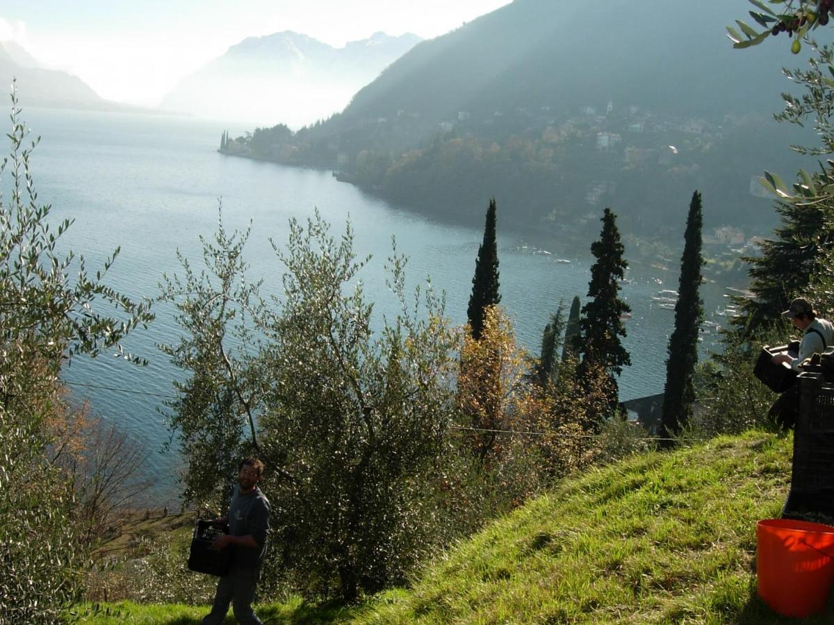 Casa Indipendente "Il Sole Delle Grigne" Villa Bellagio Kültér fotó